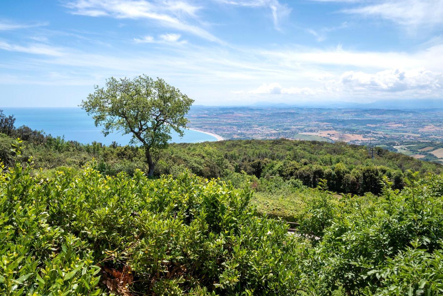 Hotel Monteconero Sirolo Dış mekan fotoğraf